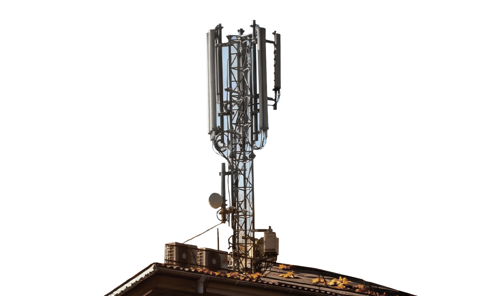 life:) занял 1-е место по скорости отправки данных